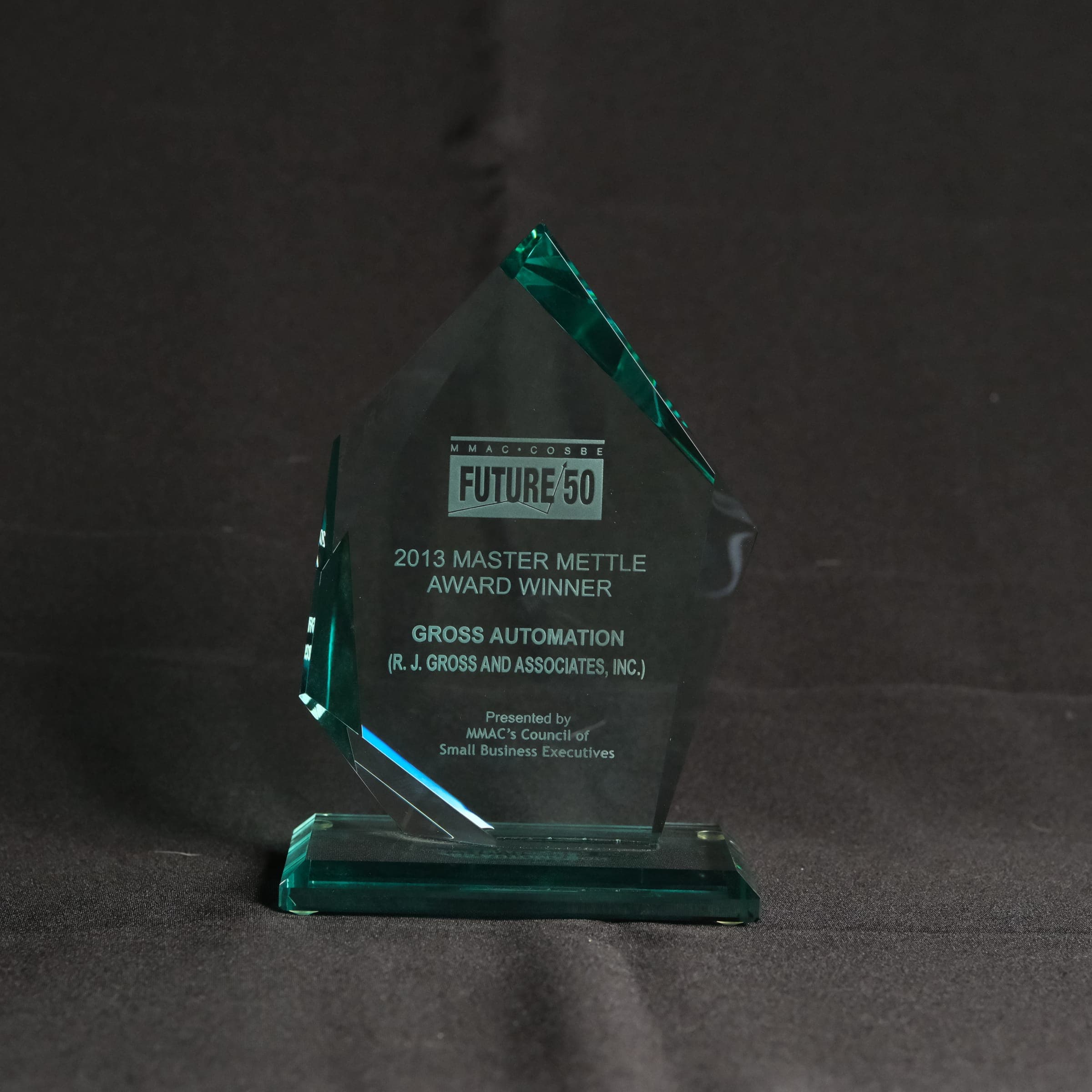 MMAC Master Mettle Award (2013)