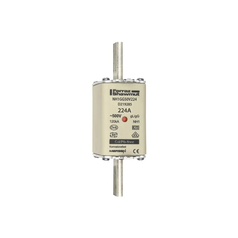 DIN NH Standard fuse-link gG Size NH1 500VAC 250VDC 224A live tags Double indicator Body width 40 mm