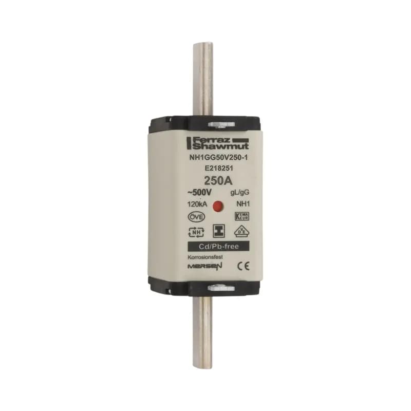 DIN NH Standard fuse-link gG Size NH1 500VAC 250VDC 250A isolated tags Double indicator Body width 40 mm