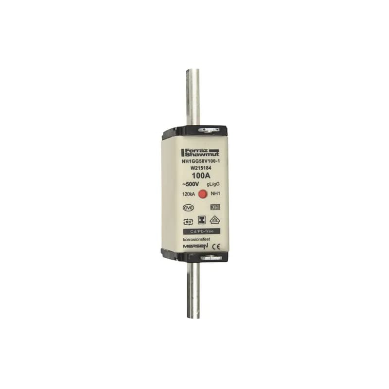 DIN NH Standard fuse-link gG Size NH1 500VAC 250VDC 100A isolated tags Double indicator Body width 30 mm
