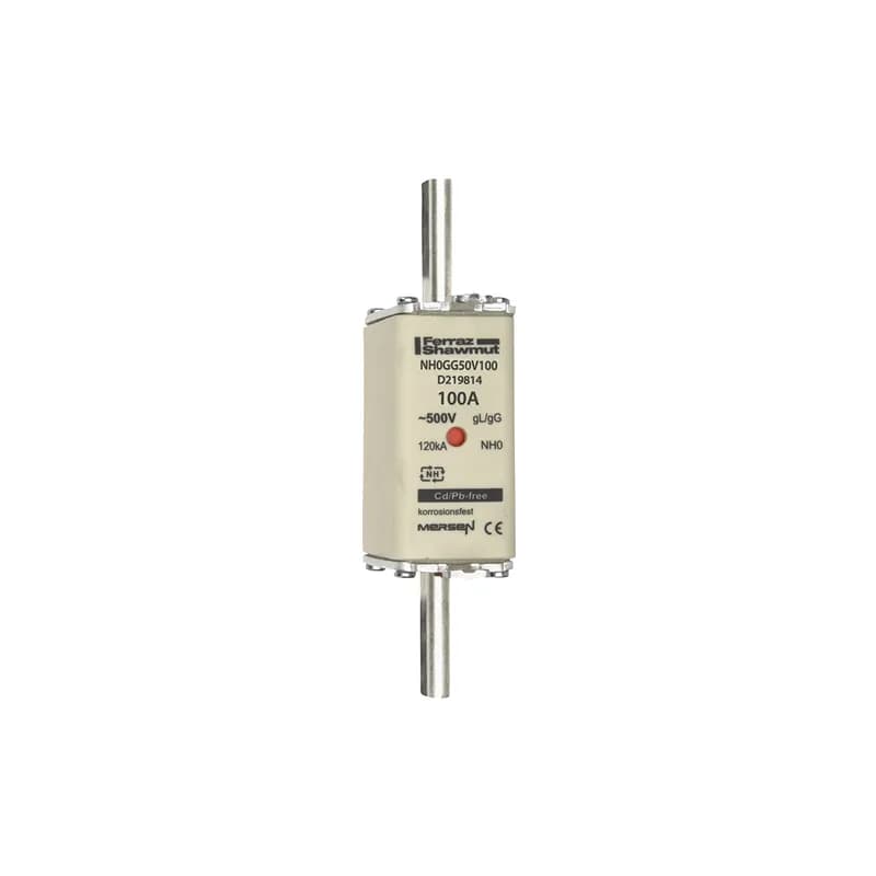 DIN NH Standard fuse-link gG Size NH0 500VAC 250VDC 100A live tags Double indicator Body width 30 mm