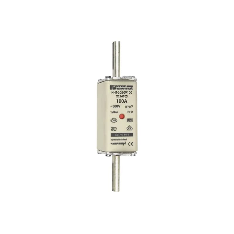 DIN NH Standard fuse-link gG Size NH1 500VAC 250VDC 100A live tags Double indicator Body width 30 mm