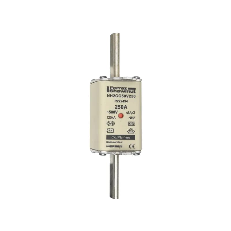 DIN NH Standard fuse-link gG Size NH2 500VAC 250VDC 250A live tags Double indicator Body width 40 mm
