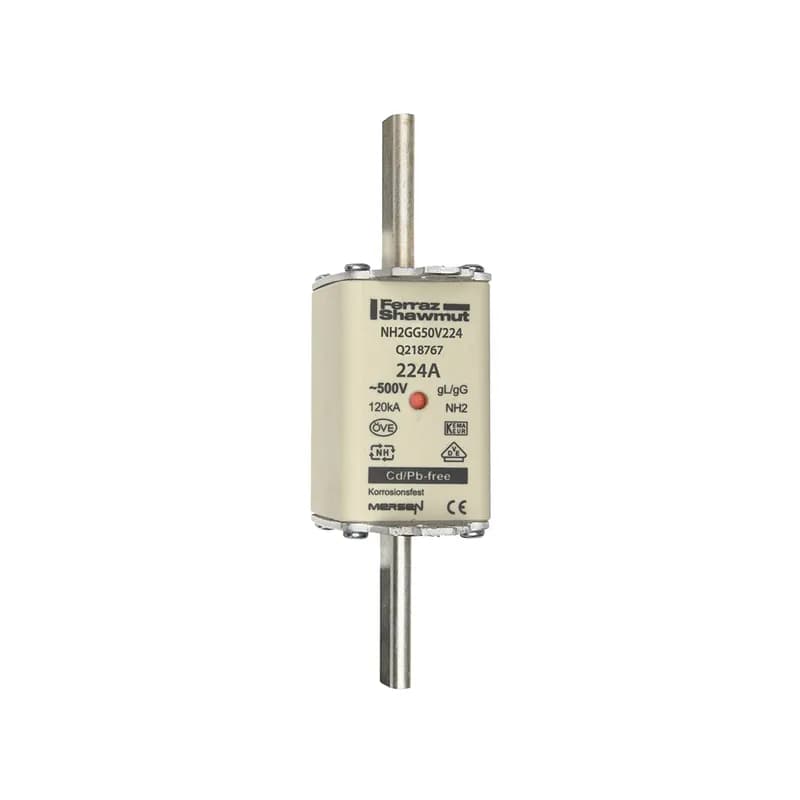 DIN NH Standard fuse-link gG Size NH2 500VAC 250VDC 224A live tags Double indicator Body width 40 mm