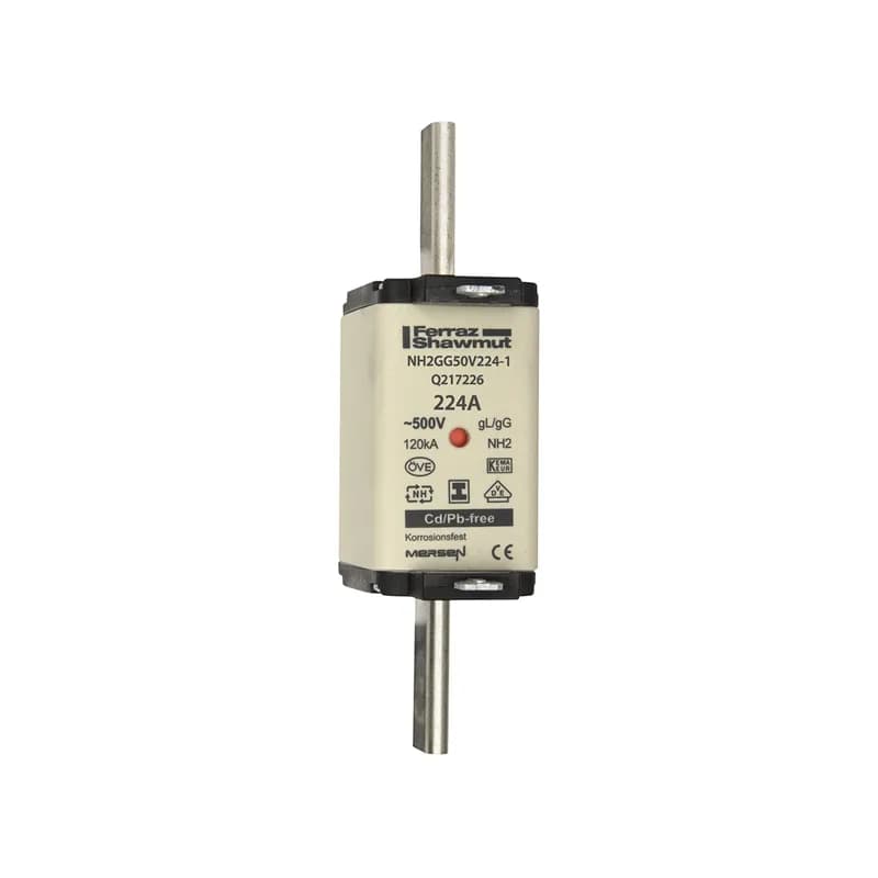 DIN NH Standard fuse-link gG Size NH2 500VAC 250VDC 224A isolated tags Double indicator Body width 40 mm