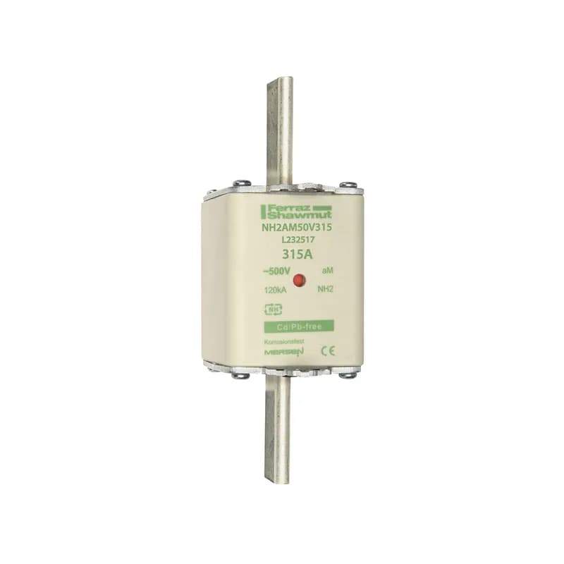 DIN NH Standard fuse-link aM Size NH2 500VAC 315A live tags Double indicator Body width 52 mm