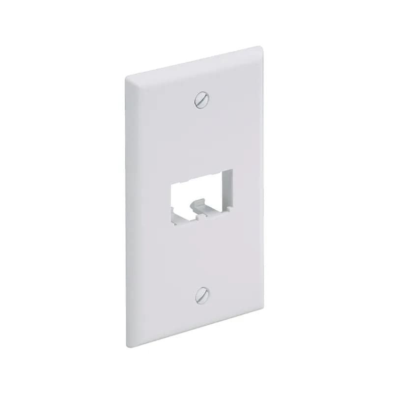 Panduit CFP2EI - The Mini-Com  Classic Series Faceplate accepts two Mini-Com Modules. The faceplate is single gang and mounts to a NEMA standard single gang opening. The faceplate can be identified with an adhesive label and is electric ivory.