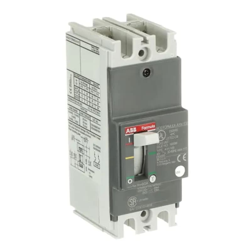 A1N 100 TMF 90-900 2P F F UL