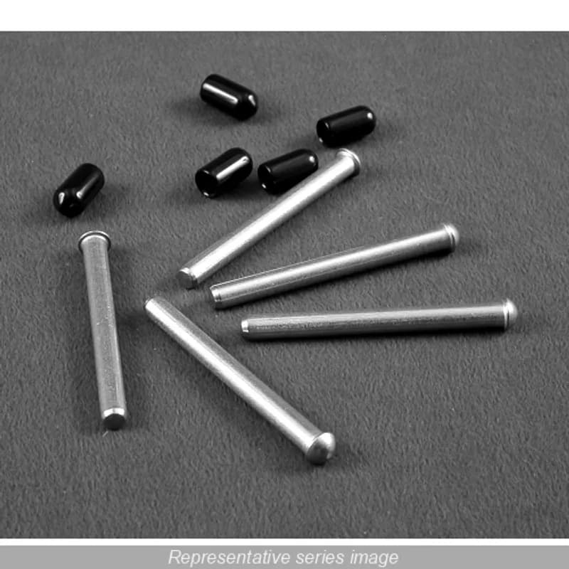SS hinge pins (qty 5)