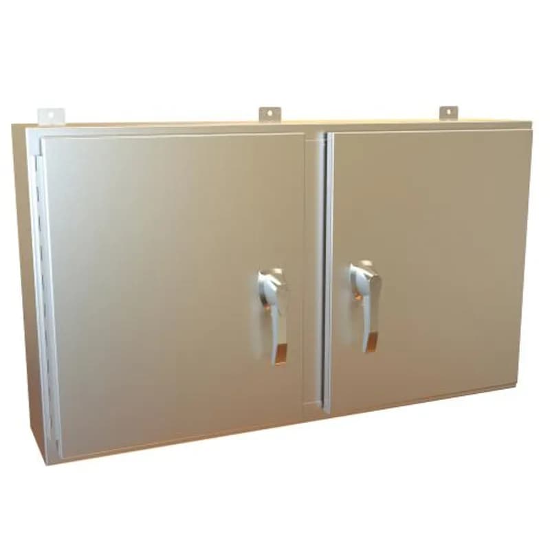N4X 2 Door Wallmount Encl w/panel - 24 x 42 x 8 - 316 SS