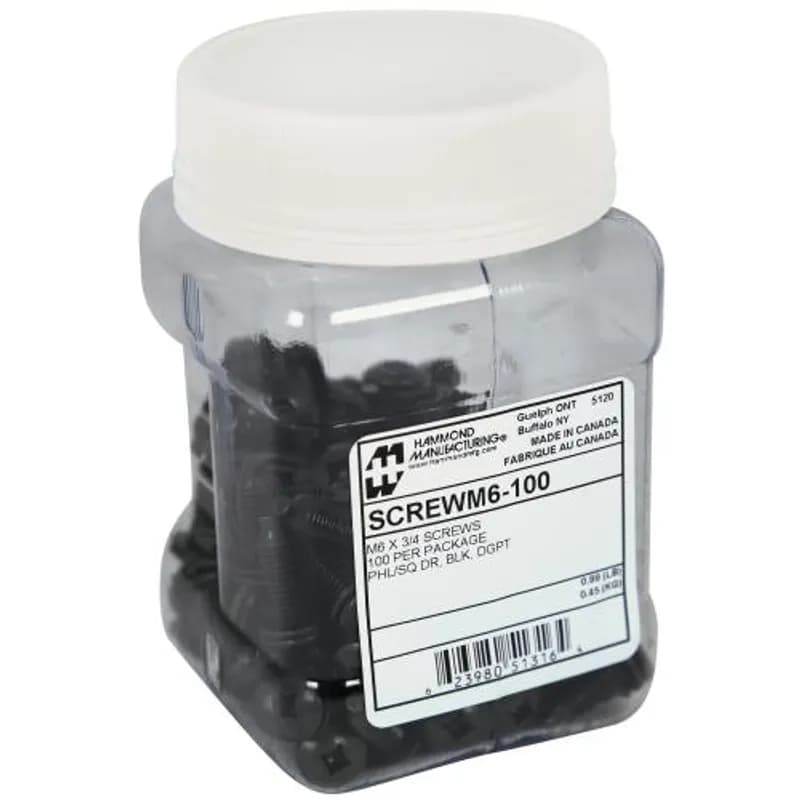 100-PKG M6 RACK SCREWS