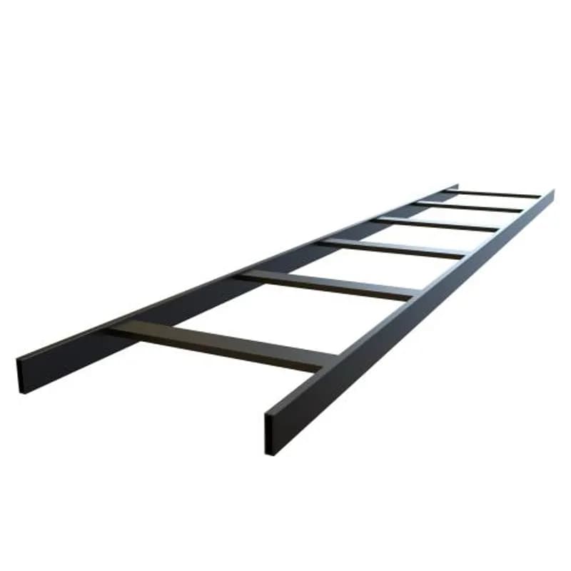 2-PKG CABLE LADDER 10FT 12W