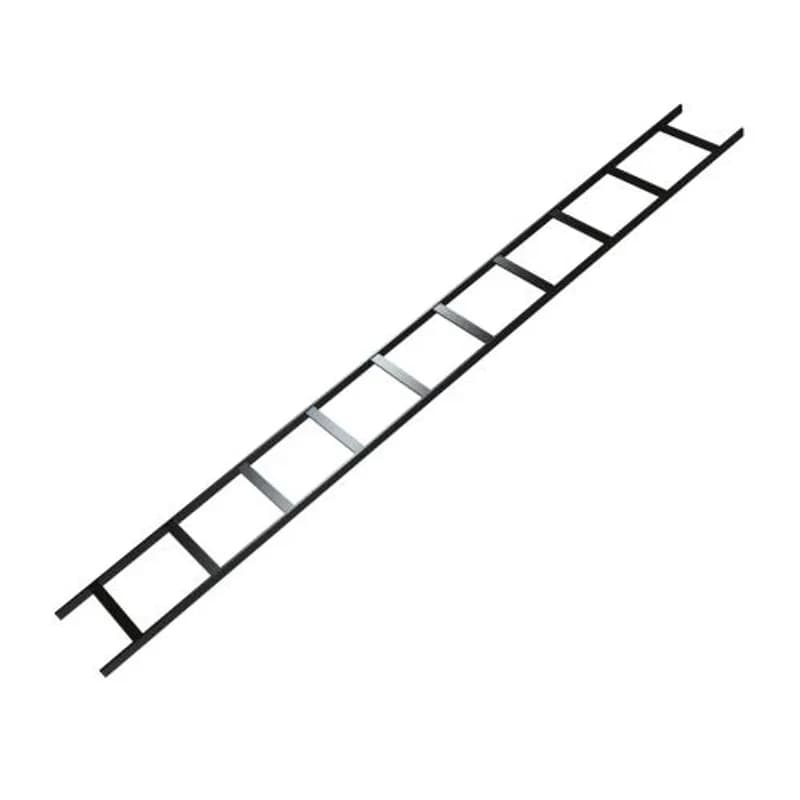 CABLE LADDER 12W 10FT BK