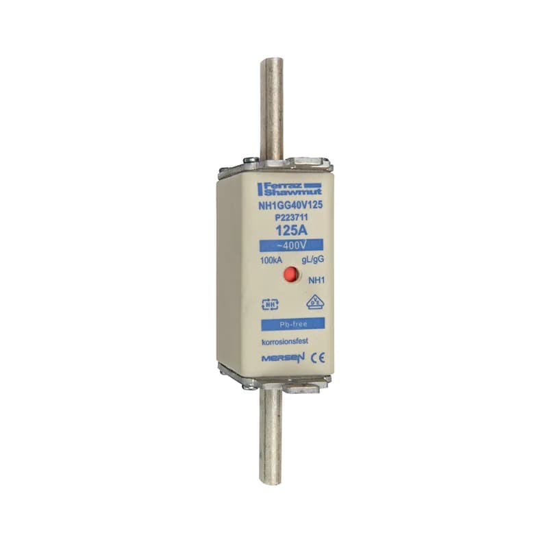 DIN NH Standard fuse-link gG Size NH1 400VAC 125A live tags Double indicator Body width 30 mm