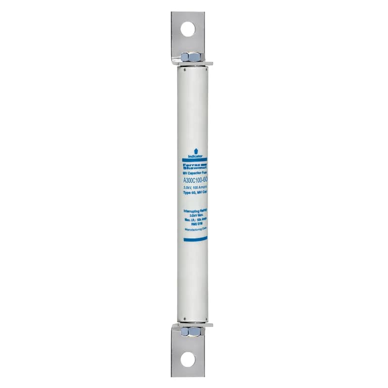 Medium Voltage Capacitor Fuse 3000VAC 100A L Bracket To L Bracket Visual Indicator Amp-Trap®