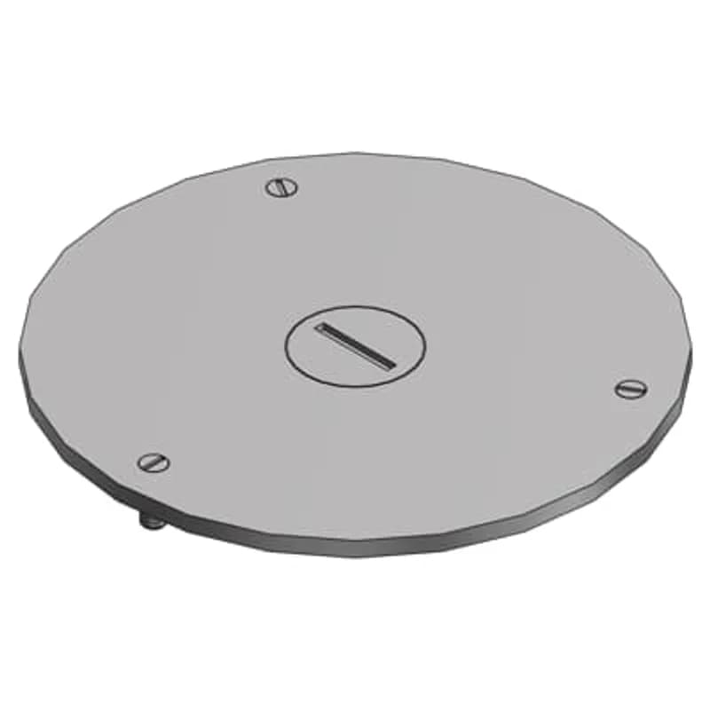 Cover Plate for Flush Service Floor Boxes, 4 Inch Diameter, 1/2 Inch NPS Plug Size, Brass