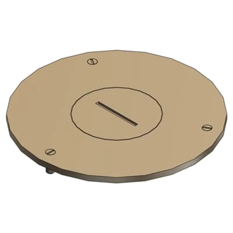 Cover Plate for Flush Service Floor Boxes, 4 Inch Diameter, 1-1/4 Inch NPS Plug Size, Brass
