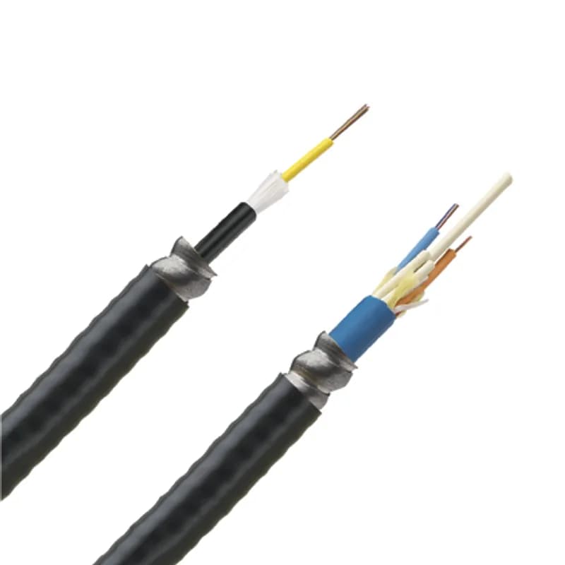 Panduit FSGP606Y - The 6 fiber indoor/outdoor armored central tube cable is OM1, Plenum (OFCP) rated and features 250 m fibers.