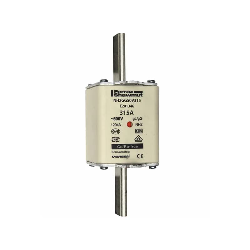 DIN NH Standard fuse-link gG Size NH2 500VAC 250VDC 315A live tags Double indicator Body width 52 mm