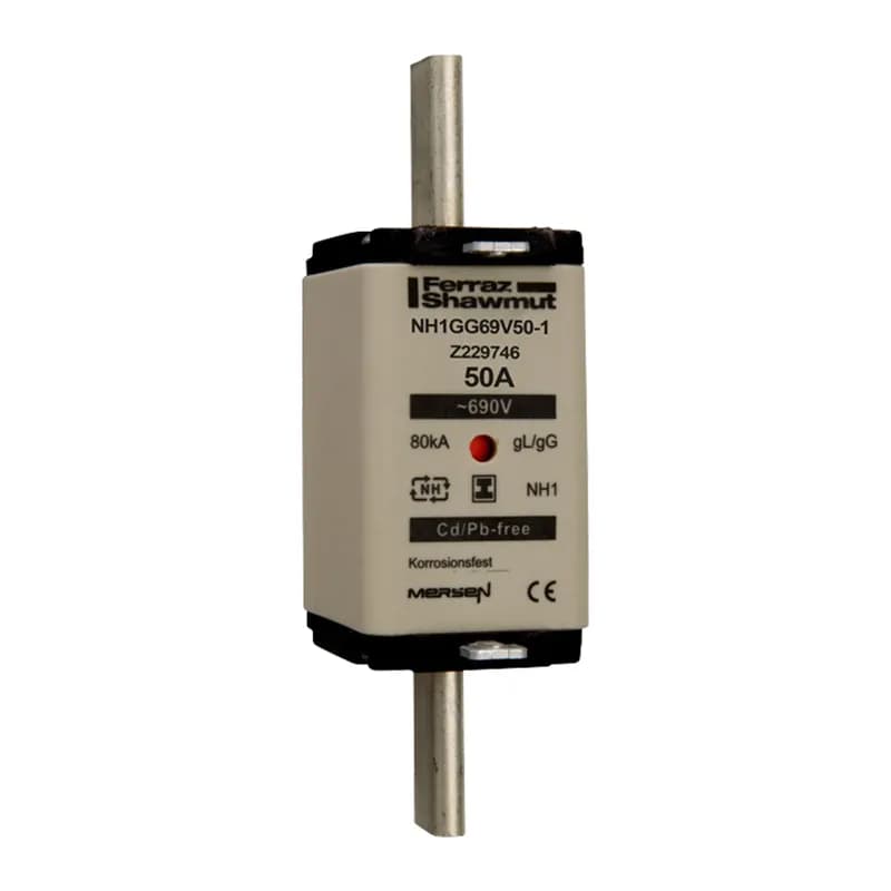 DIN NH Standard fuse-link gG Size NH1 690VAC 400VDC 63A isolated tags Double indicator Body width 30 mm