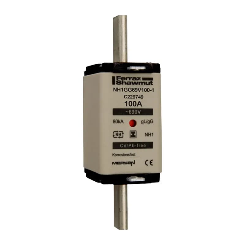 DIN NH Standard fuse-link gG Size NH1 690VAC 400VDC 100A isolated tags Double indicator Body width 30 mm