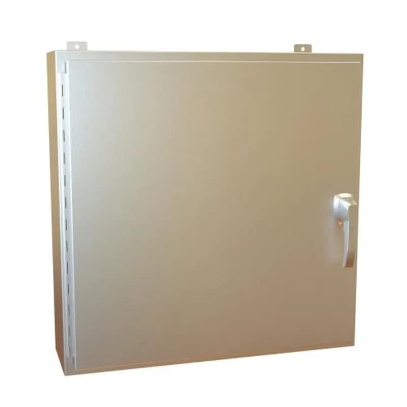 N4X Wallmt, Hinged w/handle - 30 x 30 x 8 - 316 SS