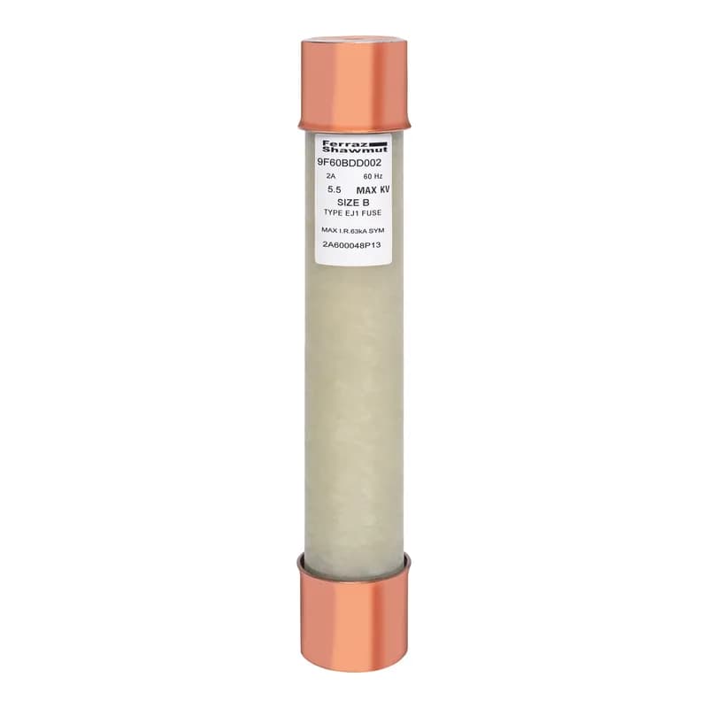 Medium Voltage Potential Transformer Fuse 5500VAC 2A Ferrule Series: BDD Visual Indicator Amp-Trap®
