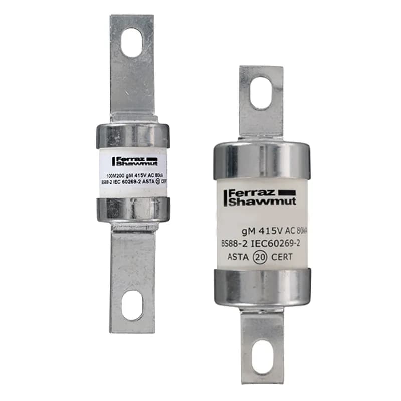 British Standard fuse-link IEC BS88 gM Type B1 415VAC 240VDC 100M160A BTC Central Bolted Tag