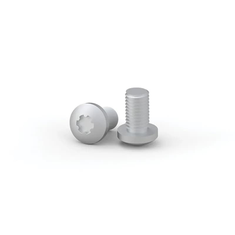nVent CNS616 - Screws M6x16 for cage nut