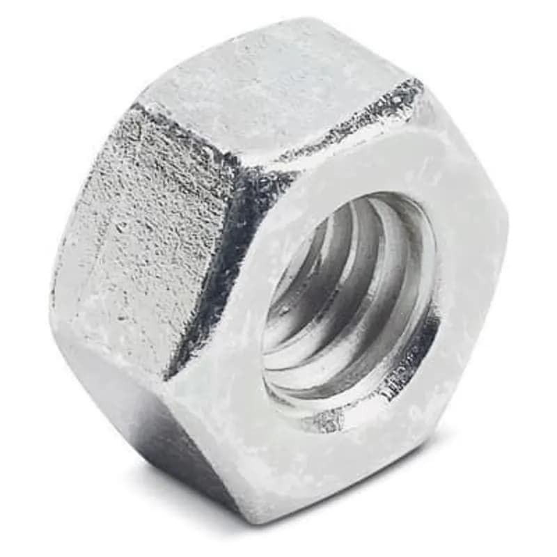 Nut, Standard Hex, Size 5/16 Inch, Type 316 Stainless Steel