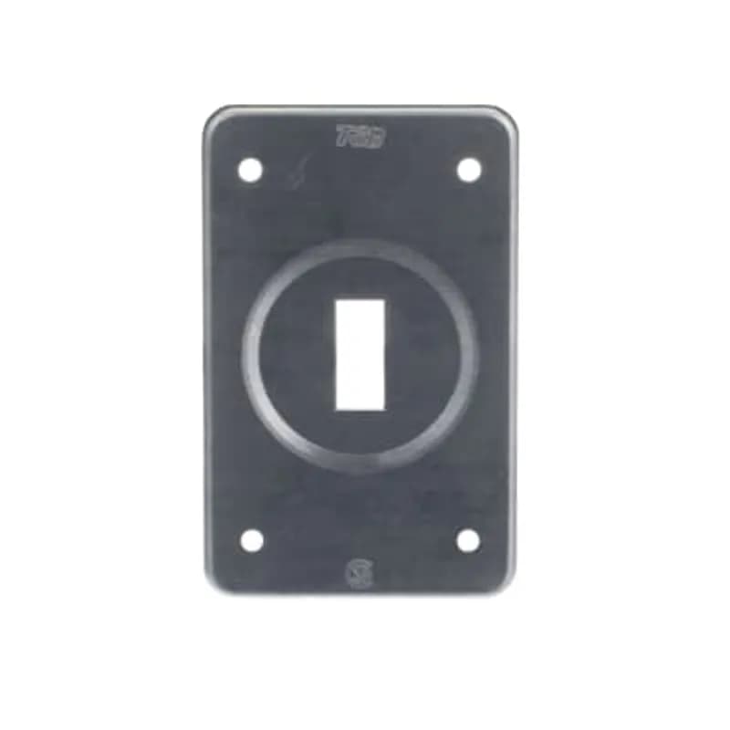 ABB - Installation Products CIFS-9 - Single Gang FS Cover, Length 4-9/16 Inches, Width 2-13/16 Inches, Aluminum, 1 Toggle Switch, Box Mount
