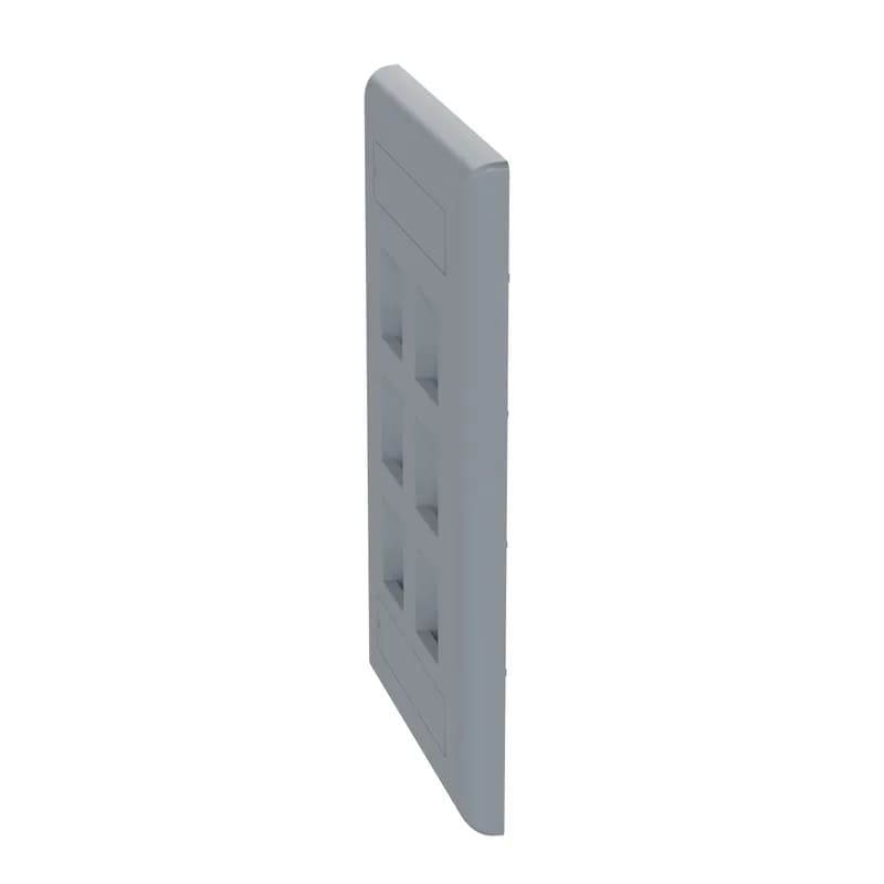 The NetKey Faceplate accepts six keystone modules. The faceplate is single gang and mounts to a NEMA standard single gang opening. The faceplate includes label and label cover, and is international gray.