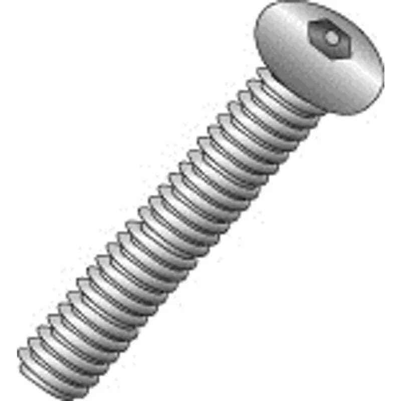 6-32 X 1/4 BHMS SOCKET PIN SS